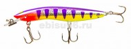 ������ Halco Sorcerer 125SR+STD# R24 - ��������-������� ������� ��� ������� �����