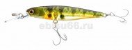 ������ Jackall Squirrel 61SP ghost g perch - ��������-������� ������� ��� ������� �����