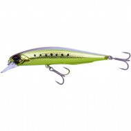 ������ DUO Realis Jerkbait 100SP SW #MCC3520 - ��������-������� ������� ��� ������� �����