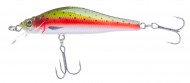 ������ Strike Pro Archback 60 ��������� 6�� 4,4�� ����. 0,2� -0,5� #71 - ��������-������� ������� ��� ������� �����