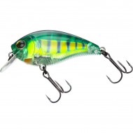 ������ Yo-Zuri 3DB Crank 1.5 Squarebill 60 F R1352 #RPC - ��������-������� ������� ��� ������� �����