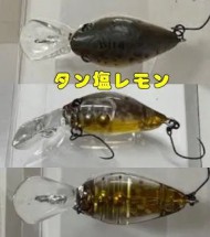 ������ Daysprout Rita DR-SS, 2.8 �, Tomo original color #Tan Shio Lemon - ��������-������� ������� ��� ������� �����